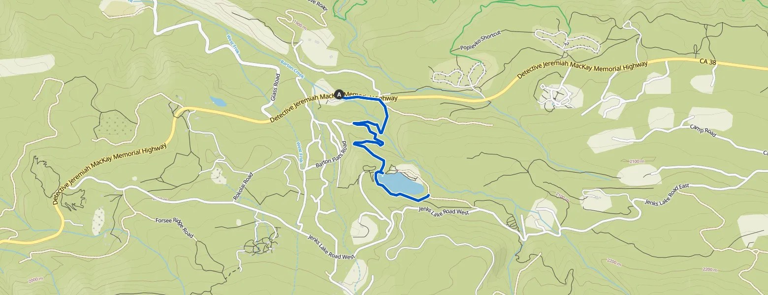 Jenks Lake Trail San Bernardino National Forest hike Komoot